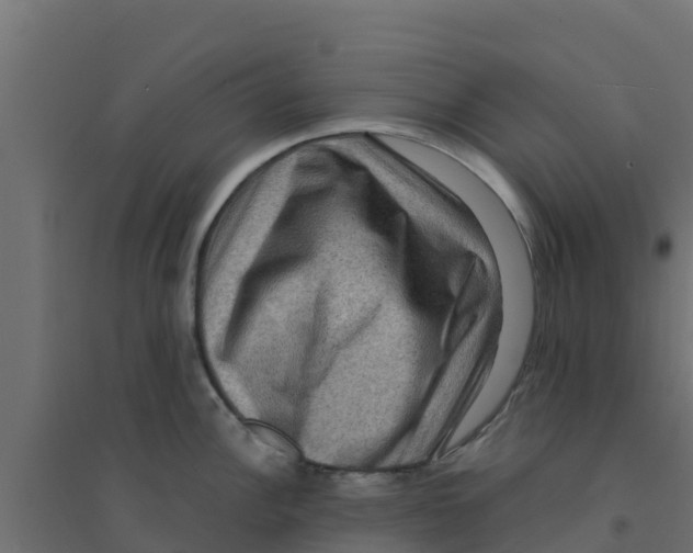X0000094181148200711241547