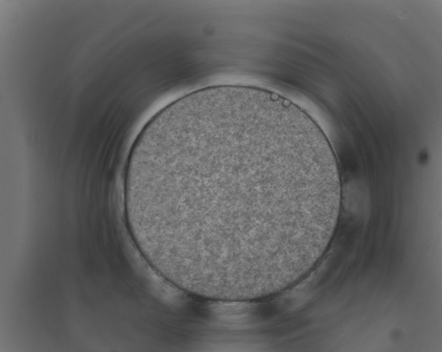 X0000094181150200711241547