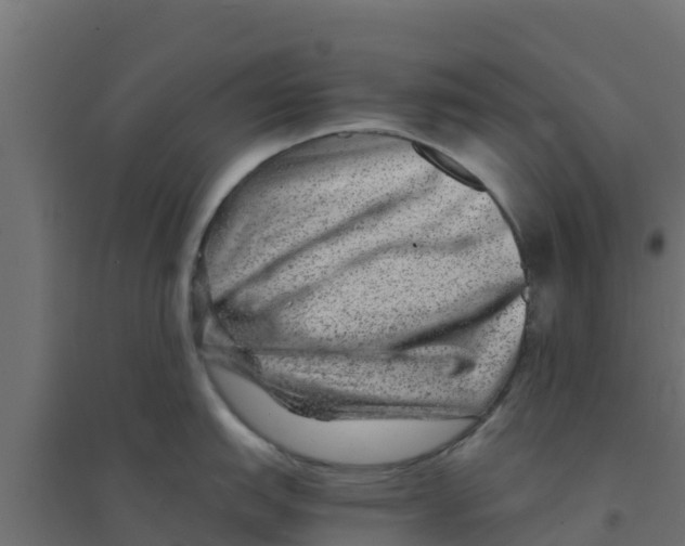 X0000094181151200711241547