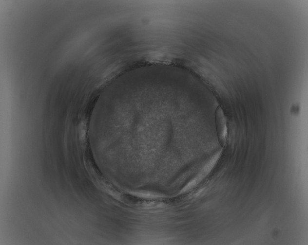 X0000094181154200711241546