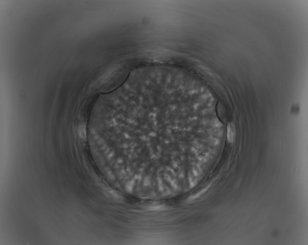 X0000094181155200711241546