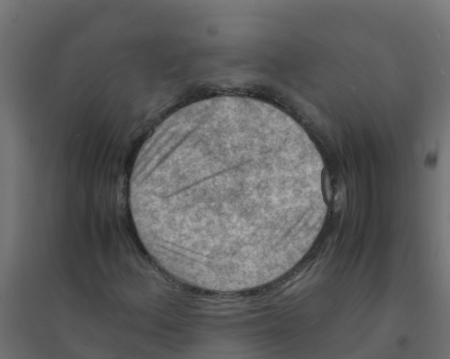 X0000094181156200711241546