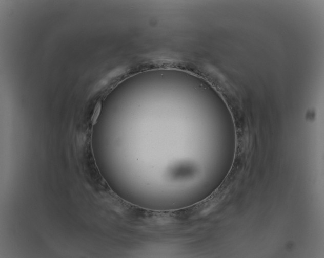 X0000094181157200711241546