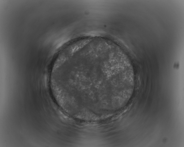 X0000094181158200711241546