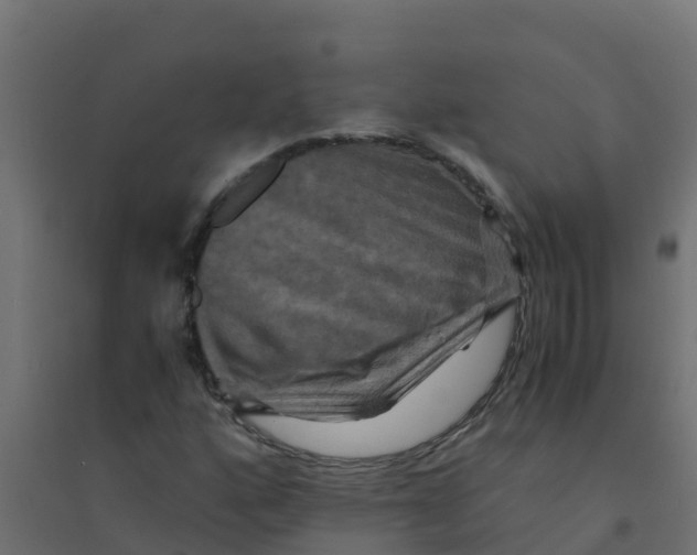 X0000094181160200711241546