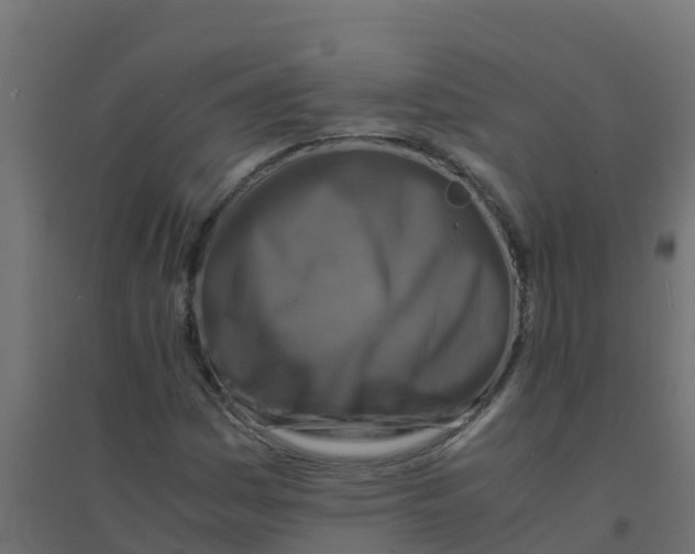 X0000094181161200711241546