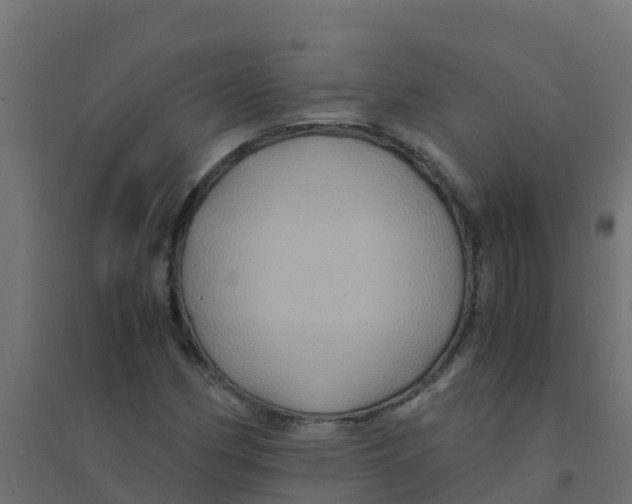 X0000094181162200711241546