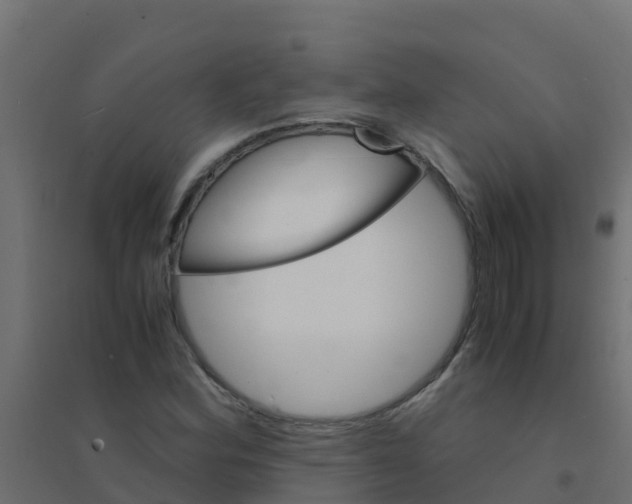 X0000094181164200711241546