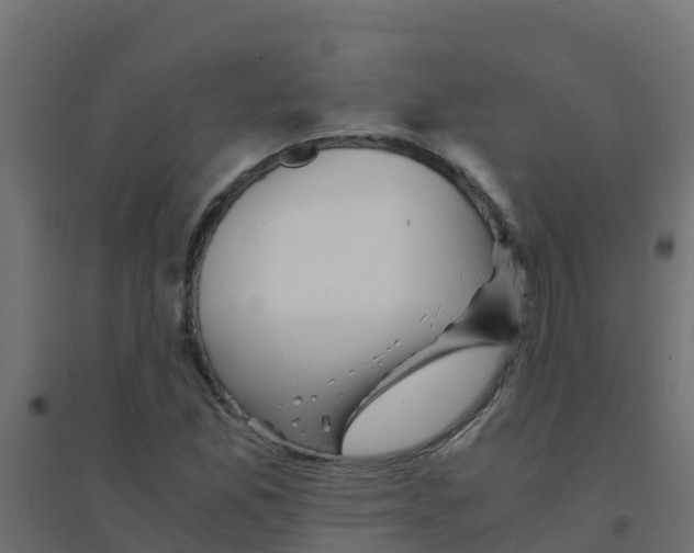 X0000094181165200711241546