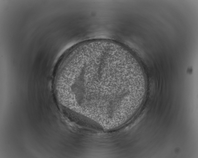X0000094181166200711241546