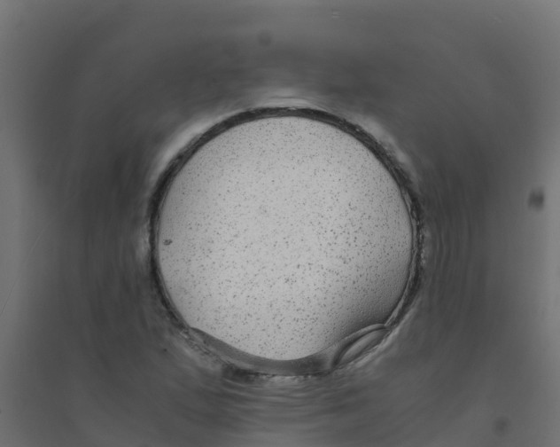 X0000094181167200711241546