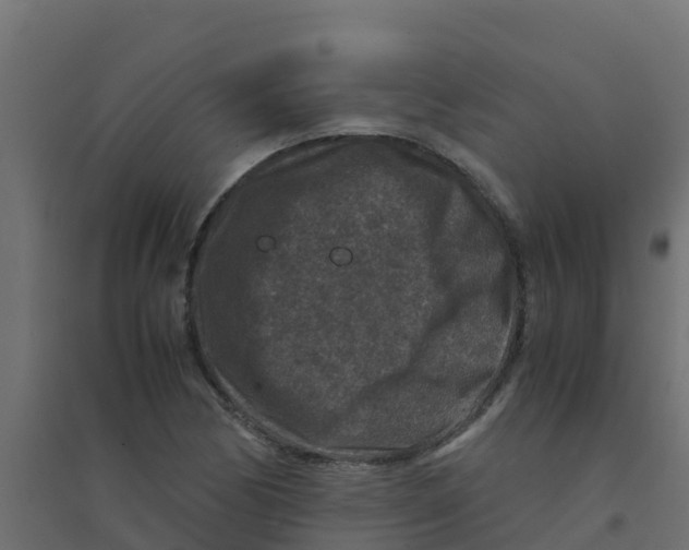 X0000094181170200711241546