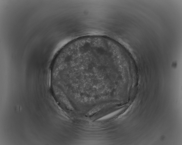 X0000094181171200711241546