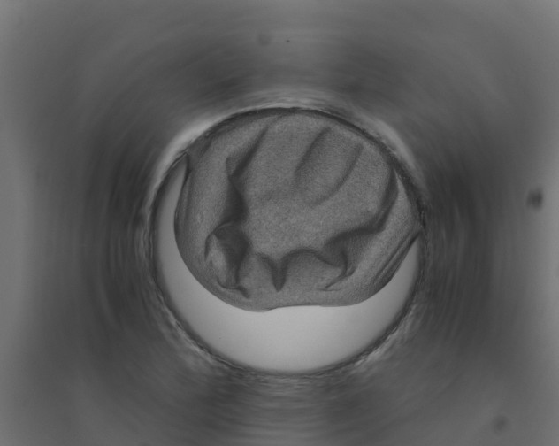 X0000094181172200711241546
