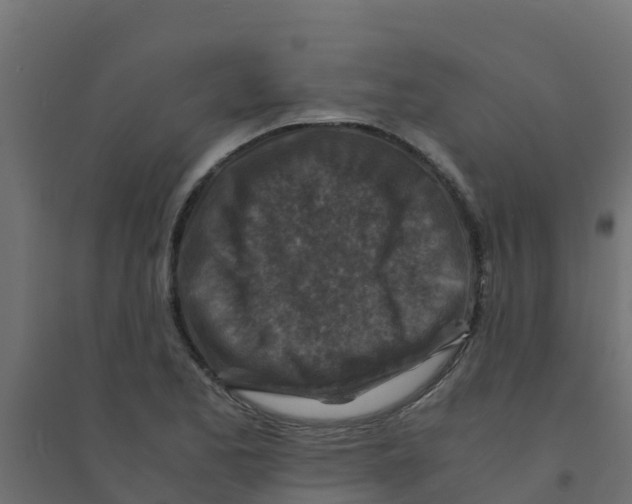 X0000094181173200711241546
