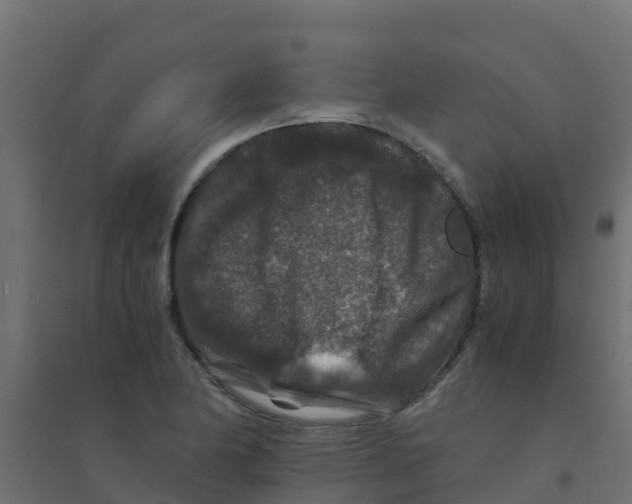 X0000094181174200711241546