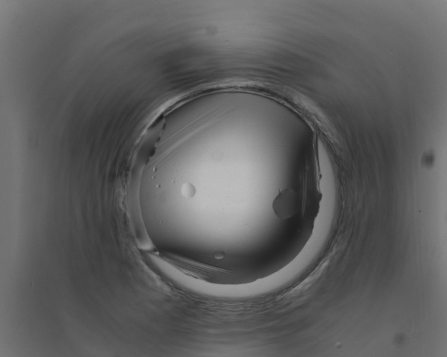 X0000094181177200711241546