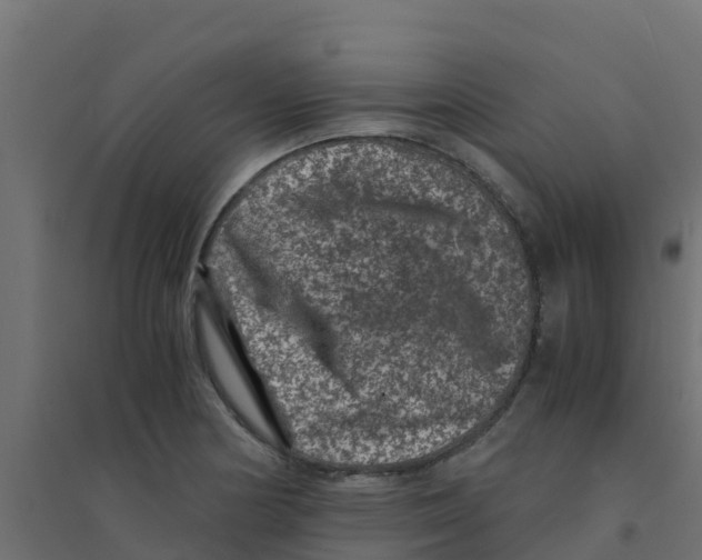 X0000094181178200711241546