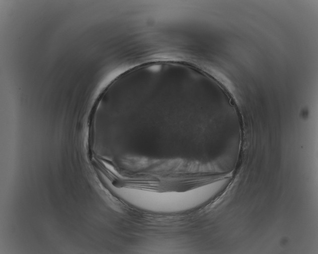 X0000094181179200711241546