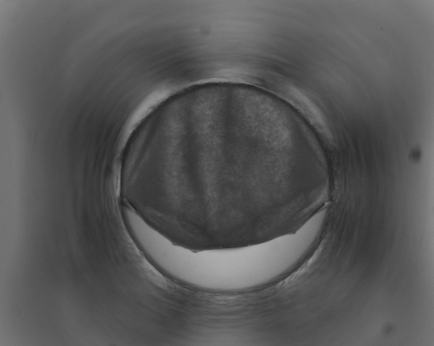 X0000094181180200711241546