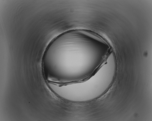 X0000094181181200711241546