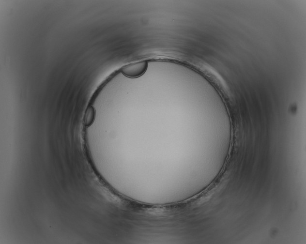 X0000094181182200711241546