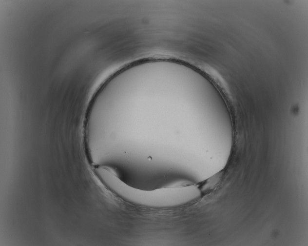 X0000094181183200711241546