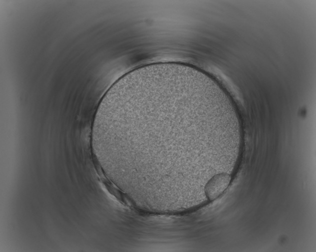 X0000094181185200711241546