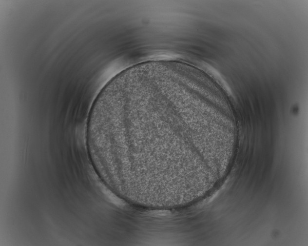X0000094181186200711241546