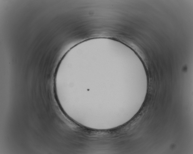 X0000094181187200711241546