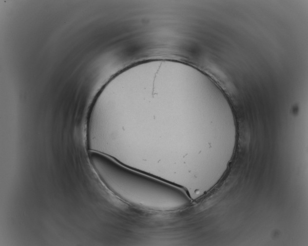 X0000094181188200711241546