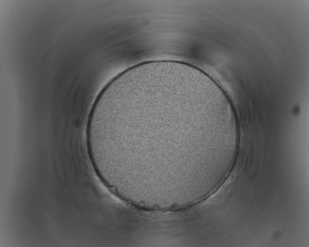 X0000094181189200711241546