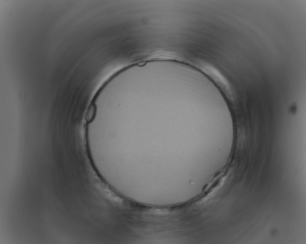X0000094181190200711241546