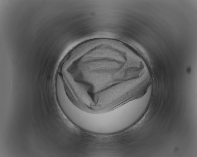 X0000094181192200711241546