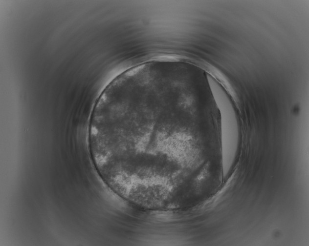 X0000094181194200711241546