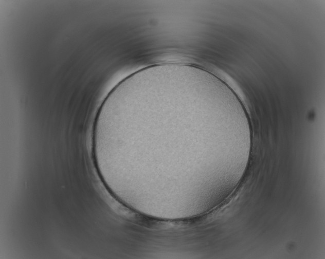 X0000094181195200711241546