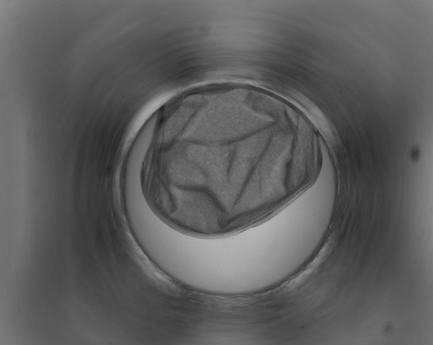 X0000094181196200711241546