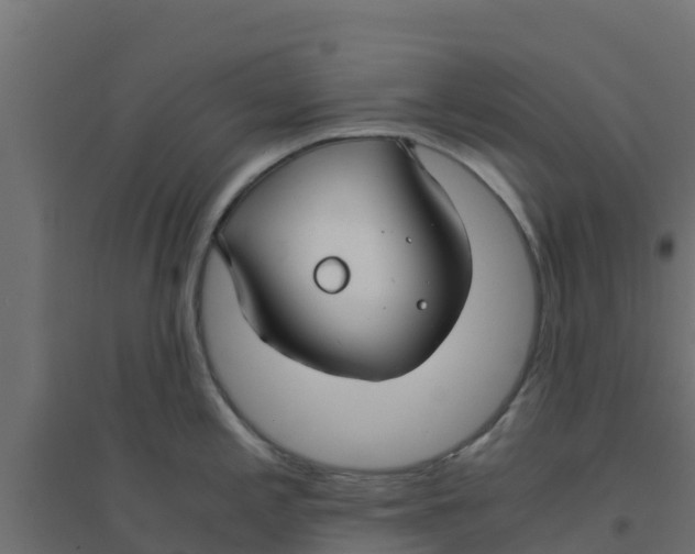 X0000094181197200711241546