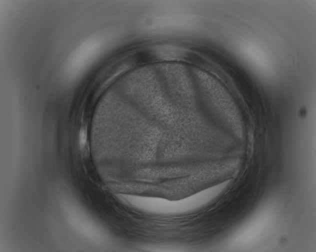 X0000094181198200711241546