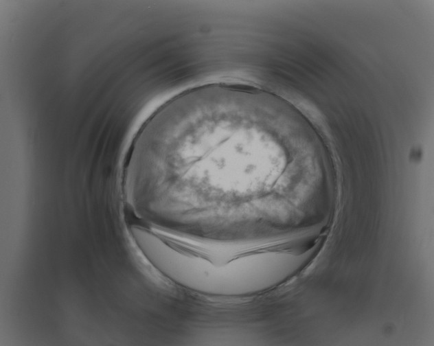 X0000094181200200711241546