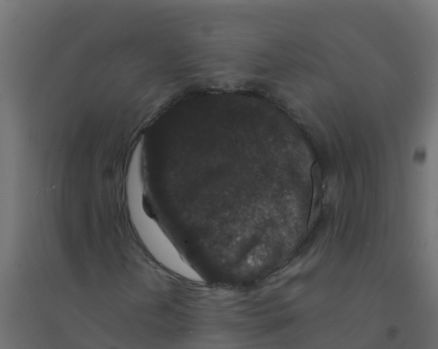 X0000094181202200711241545