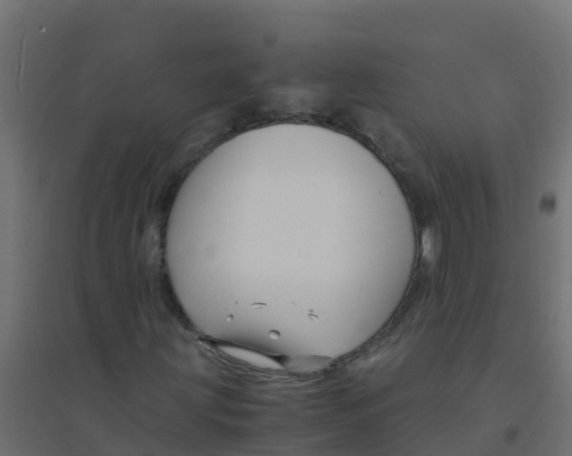 X0000094181203200711241545