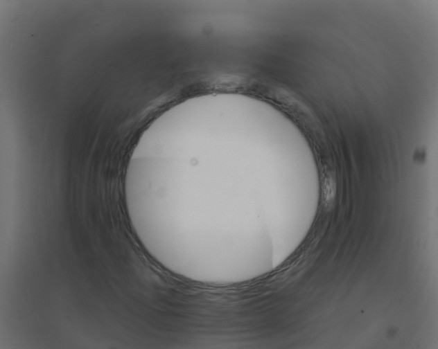 X0000094181204200711241545