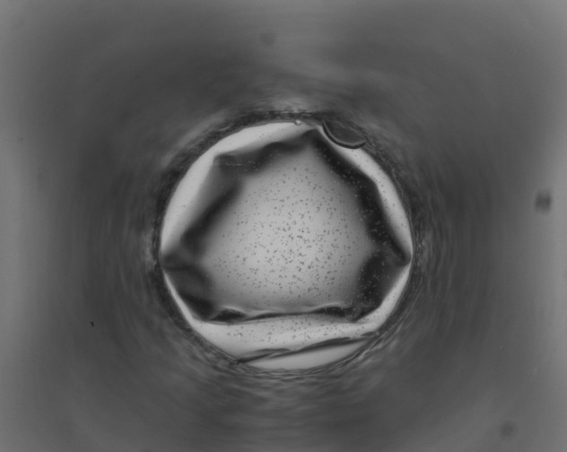 X0000094181205200711241545