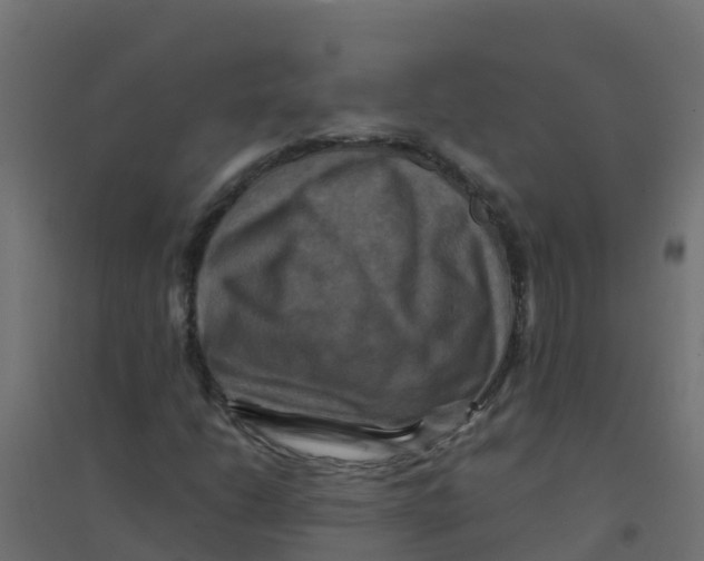 X0000094181206200711241545