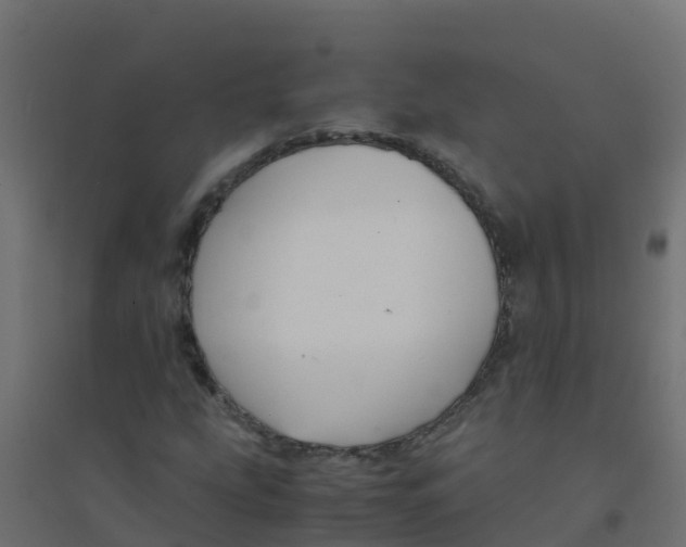 X0000094181207200711241545