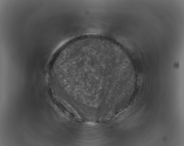 X0000094181208200711241545