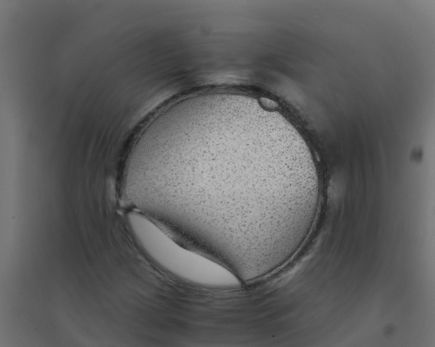 X0000094181209200711241545