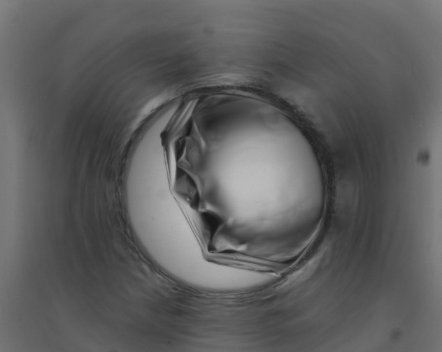 X0000094181210200711241545