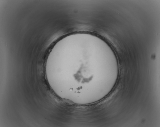 X0000094181211200711241545